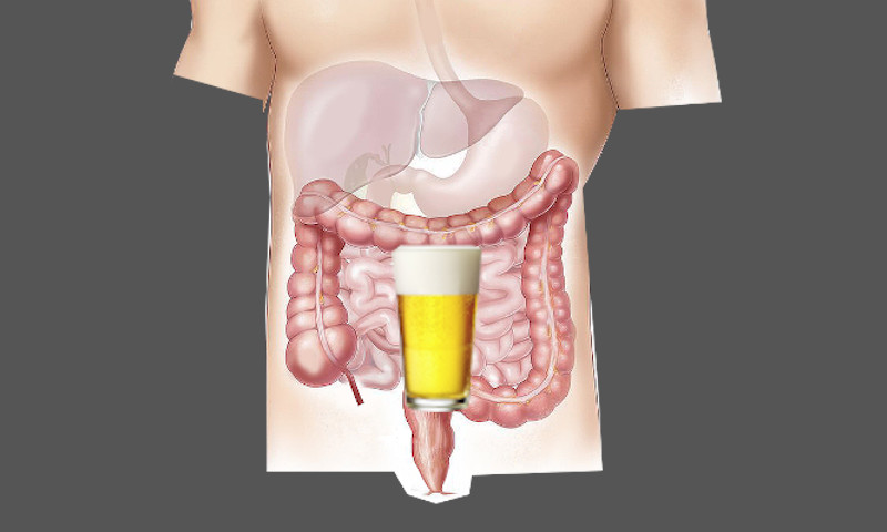 Alcohol in het menselijk lichaam
